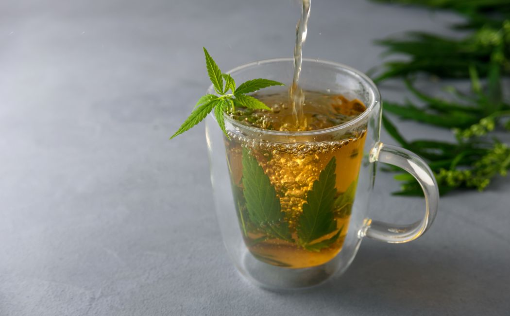 Herbatki konopne - relaks i harmonia z naturą