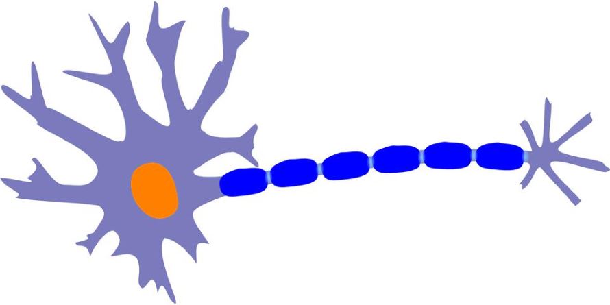 Neurolog Milanówek – przyczyny, objawy i leczenie migreny