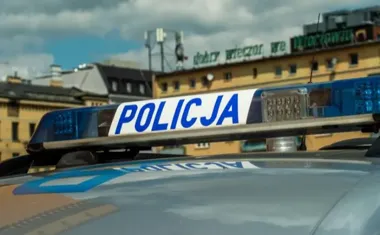 Ozdobna kura z kwiaciarni skradziona w nocy - policja namierzyła sprawcę