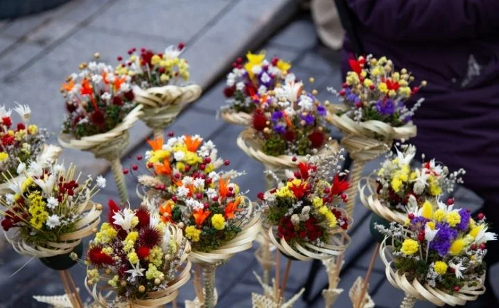 palmy wilenskie.webp