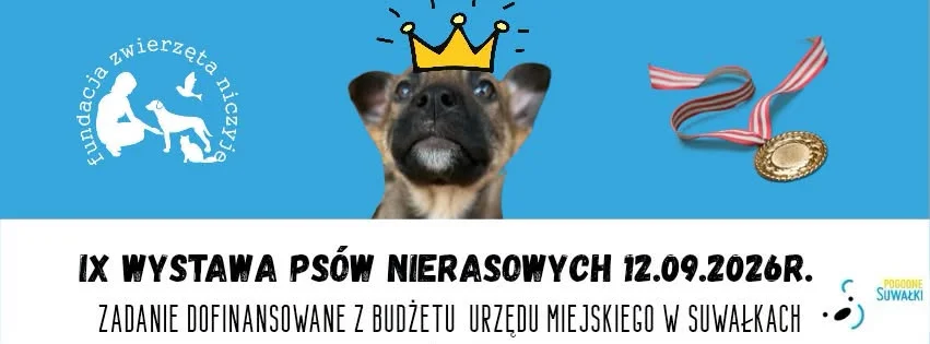 Grafika promocyjna wydarzenia IX Wystawa Psów Nierasowych w Suwałkach
