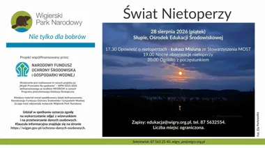 Grafika promocyjna wydarzenia Świat Nietoperzy