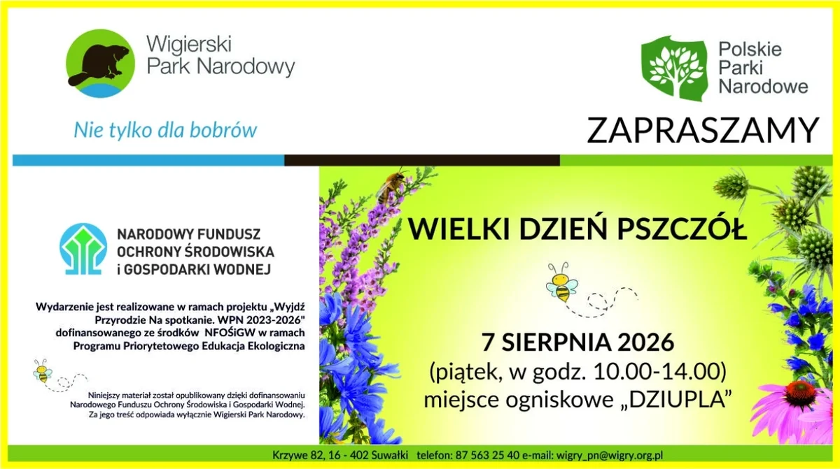 Grafika promocyjna wydarzenia Wielki Dzień Pszczół