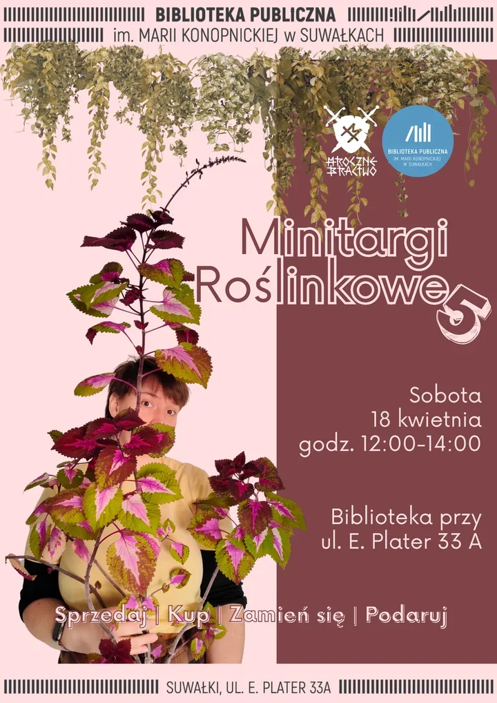 Minitargi Roślinkowe 5 w Suwałkach - sadzonki, sąsiedzkie wymiany i małe ogródki w doniczkach