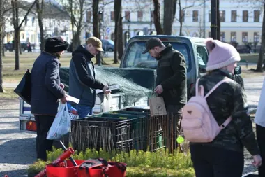 W Parku Konstytucji 3 Maja wyrósł las wiedzy i sadzonek za makulaturę