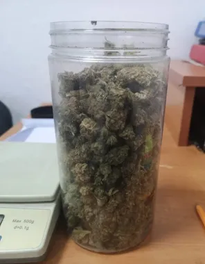 W piwnicy znaleźli 130 gramów marihuany. Zatrzymano suwalczanina