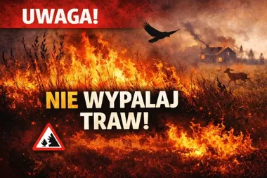 Wypalanie traw zamienia pola w pułapkę - kary do 30 000 zł