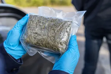 Skrytka w aucie ujawniona pod Budziskiem. Ponad 8 kg marihuany