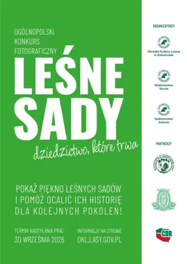 Leśne sady pod obiektywem. Konkurs przypomina o rzadkim dziedzictwie lasów