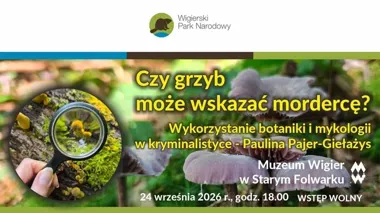 Grzyb jako trop na miejscu zbrodni. Niezwykła prelekcja w Muzeum Wigier