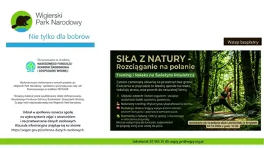 Rozciąganie na polanie. Bezpłatne ćwiczenia w Krzywem