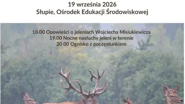 Rykowisko nad Wigrami. Nocne nasłuchy jeleni i ognisko w Słupiu