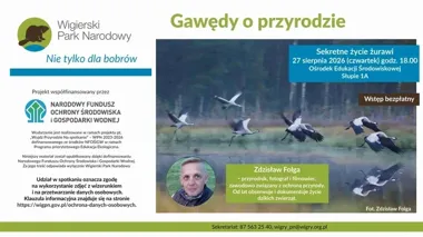 Żurawie bez tajemnic. Przyrodnik pokaże ich życie z bliska