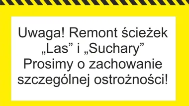 Remont ścieżek w Krzywem ruszył, ale spacerowicze wciąż mogą wejść na trasę
