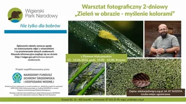 Fotograficzny weekend w Wigierskim Parku. Warsztaty poprowadzi Piotr Malczewski