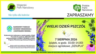 W Krzywem powstaną hotele dla dzikich zapylaczy