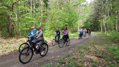 Rowerem przez Wigierski Park z przewodnikiem. Na trasie muzeum i jeziora